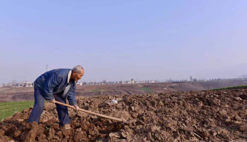 農(nóng)村土地征收補償政策是怎樣的？