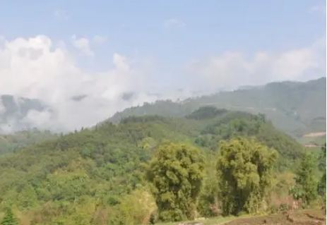 林地補償標準每畝價格是多少