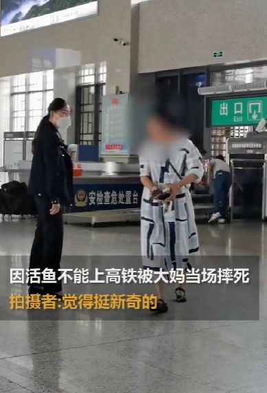 京云律師解讀：帶活魚坐高鐵被阻止，大媽當(dāng)場摔死魚！車站：密封后可帶上車