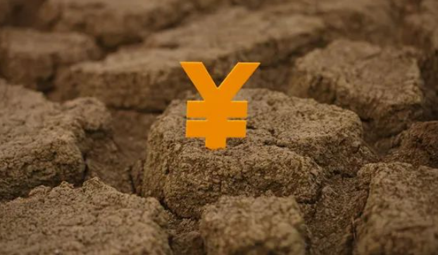 農(nóng)村土地被強(qiáng)征索賠無門，被拆遷人是否可以找政府履行賠償責(zé)任？